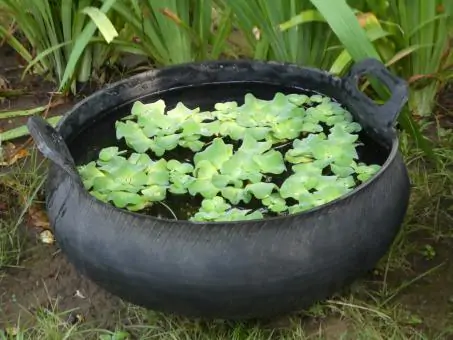 Product image 4 of the product “Water bowl from recyled tire with handle. Vulcanized inside. Dia. 47cm Height 20 / 25cm. ”